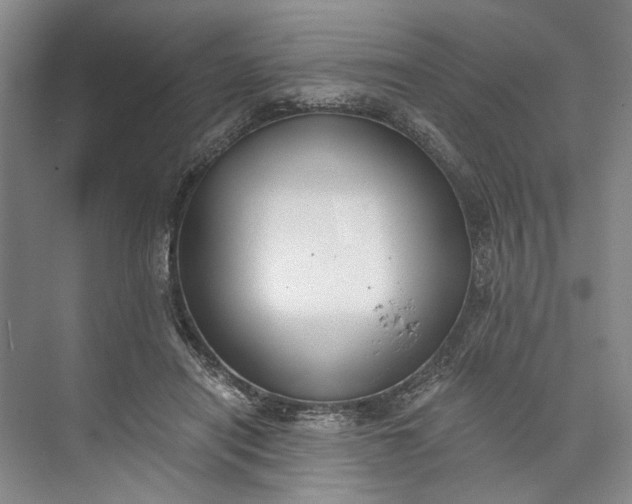 X0000072930454200608041220