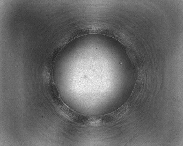 X0000072930456200608041220