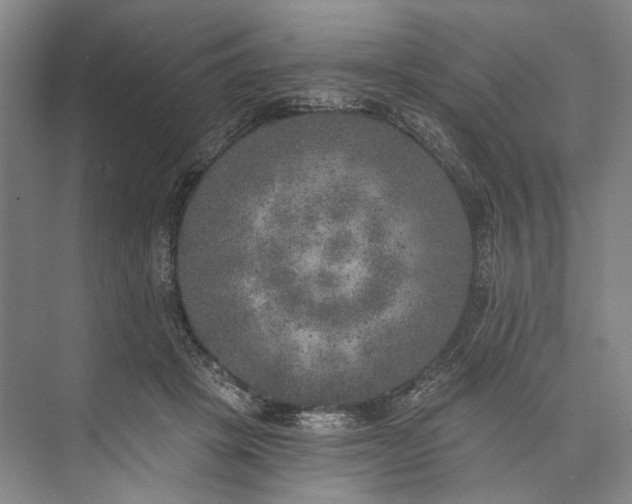 X0000072930457200608041220