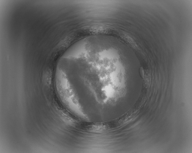 X0000072930458200608041220