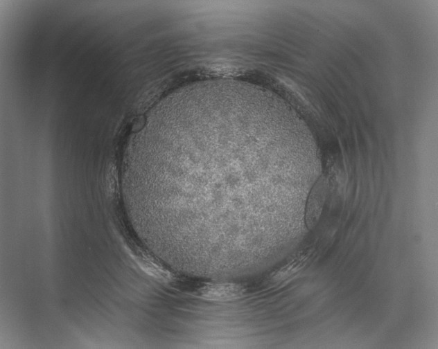 X0000072930459200608041220