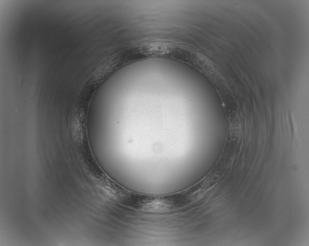 X0000072930460200608041220