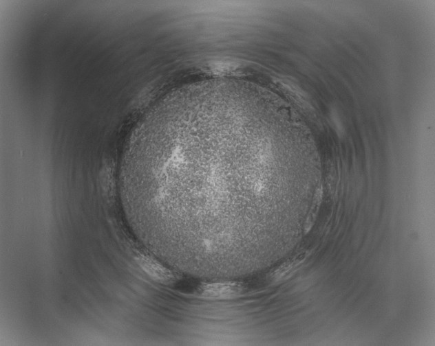 X0000072930461200608041220