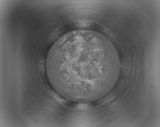 X0000072930462200608041220