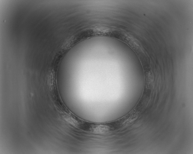 X0000072930463200608041220