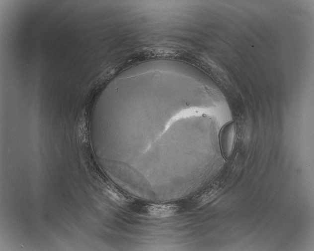 X0000072930465200608041220