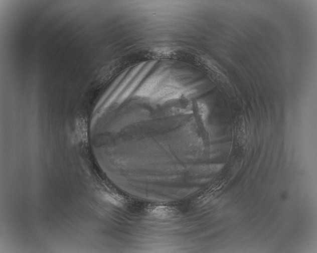 X0000072930467200608041220