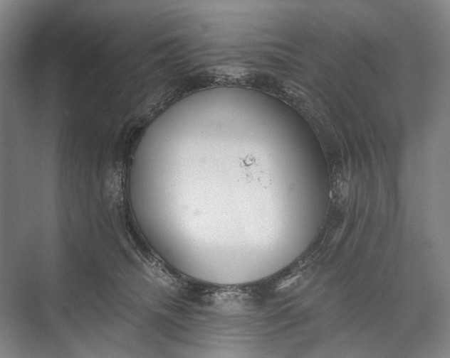 X0000072930468200608041220