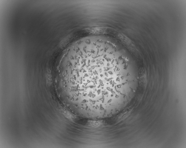 X0000072930469200608041220