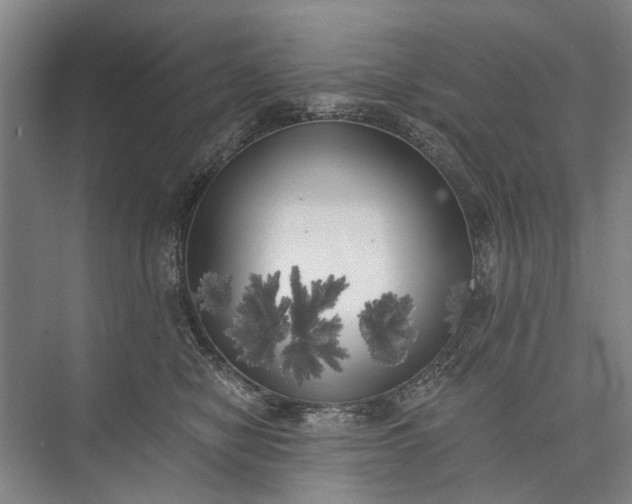 X0000072930470200608041221