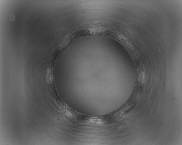 X0000072930471200608041221