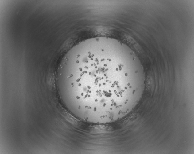 X0000072930473200608041221