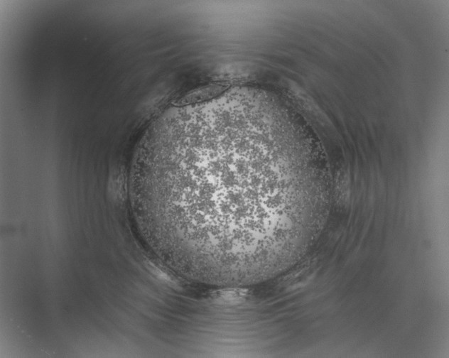 X0000072930474200608041221