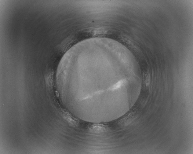 X0000072930475200608041221