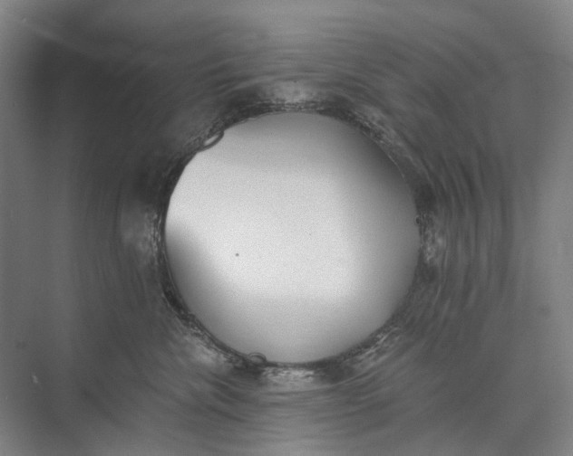 X0000072930476200608041221