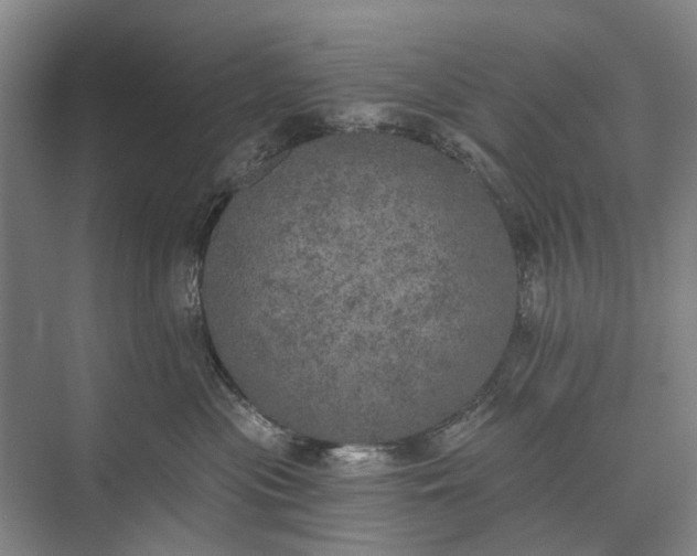 X0000072930477200608041221