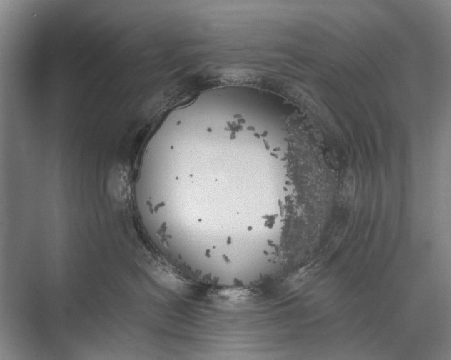 X0000072930478200608041221