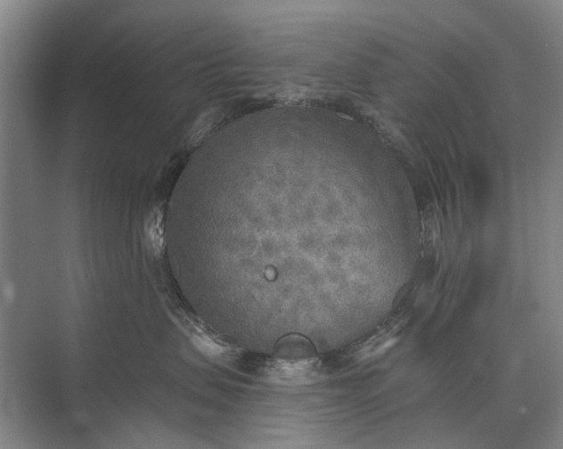 X0000072930479200608041221