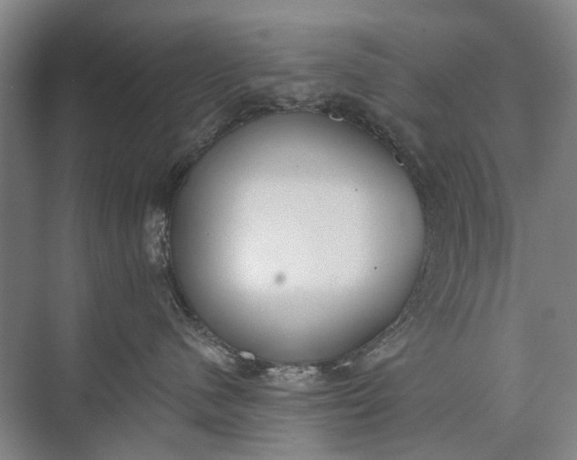 X0000072930480200608041221