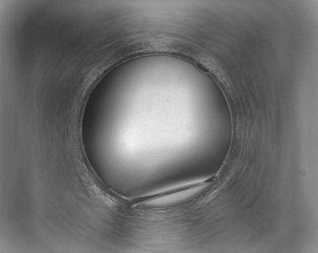 X0000072930481200608041220