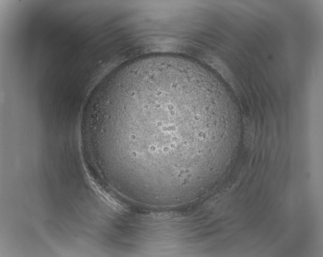 X0000072930482200608041220