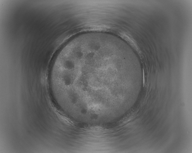 X0000072930483200608041220