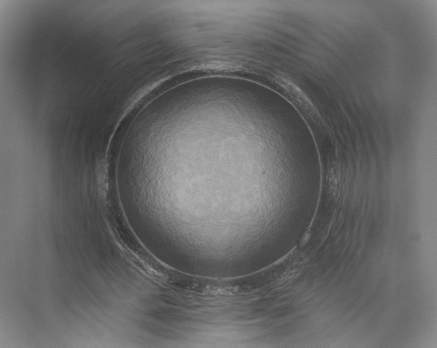 X0000072930484200608041220