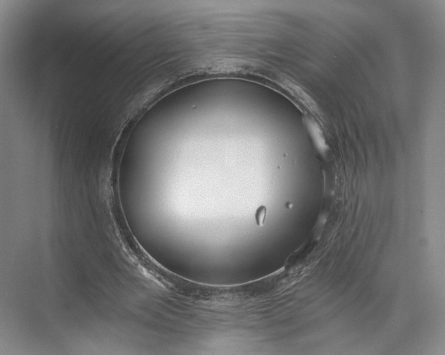 X0000072930485200608041220