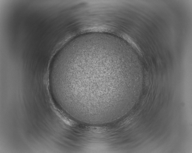 X0000072930486200608041220