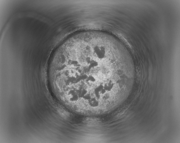 X0000072930487200608041220