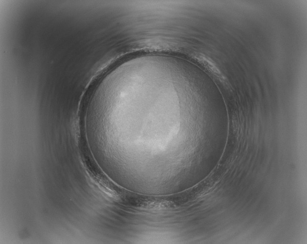 X0000072930488200608041220