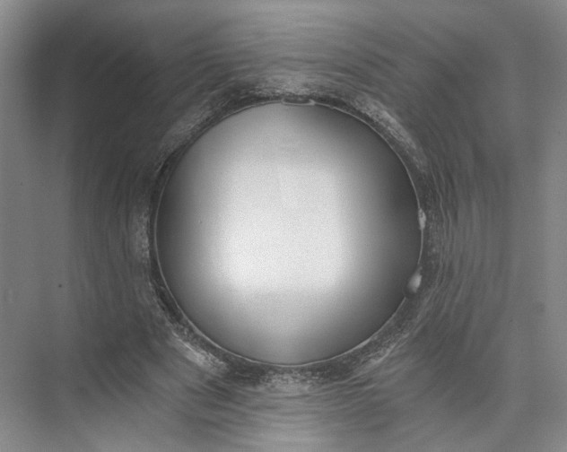 X0000072930489200608041220