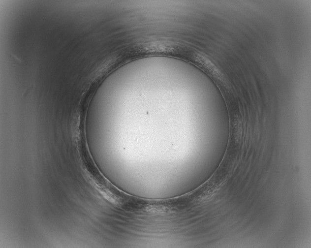 X0000072930490200608041220