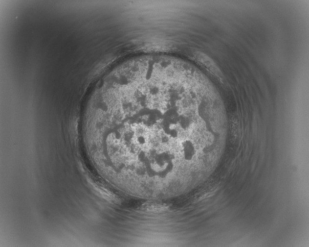 X0000072930491200608041220