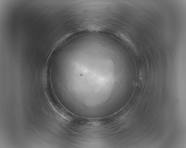 X0000072930492200608041220