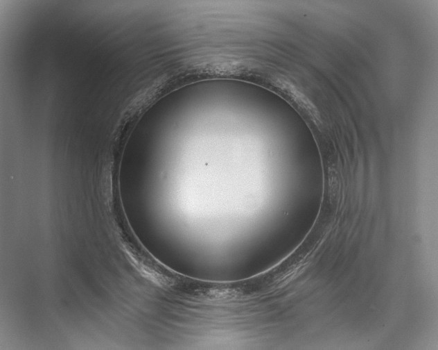 X0000072930493200608041220