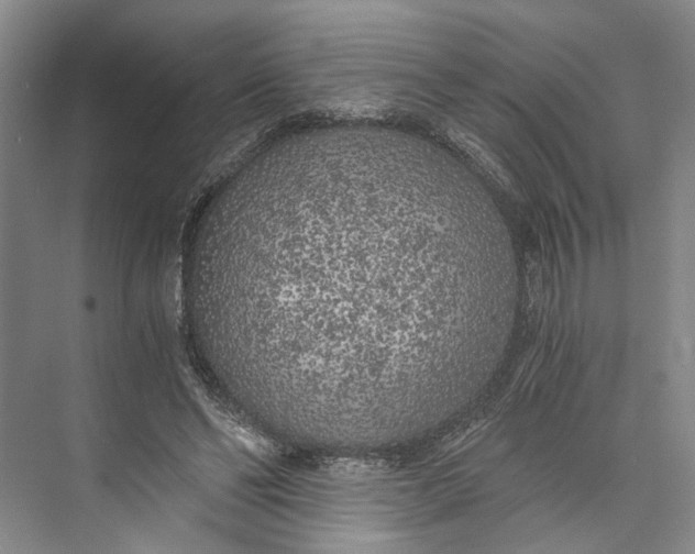 X0000072930494200608041220