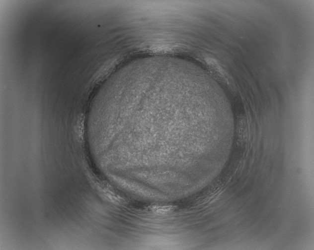 X0000072930495200608041220