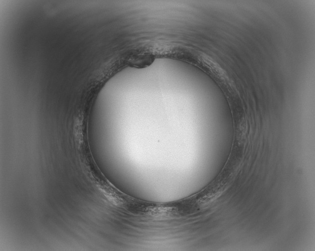 X0000072930497200608041220