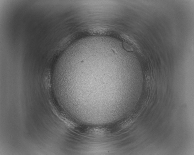 X0000072930498200608041220