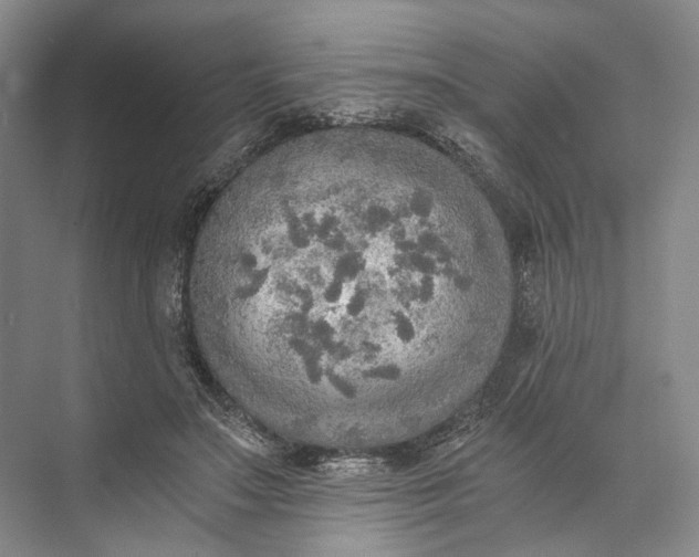 X0000072930499200608041220