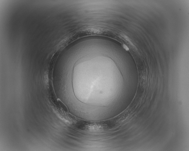 X0000072930500200608041220