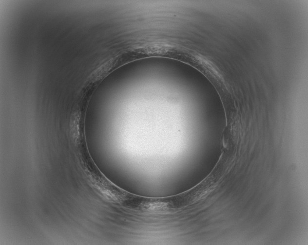 X0000072930501200608041220