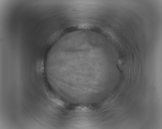 X0000072930502200608041220