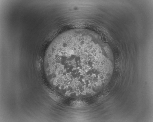 X0000072930503200608041219