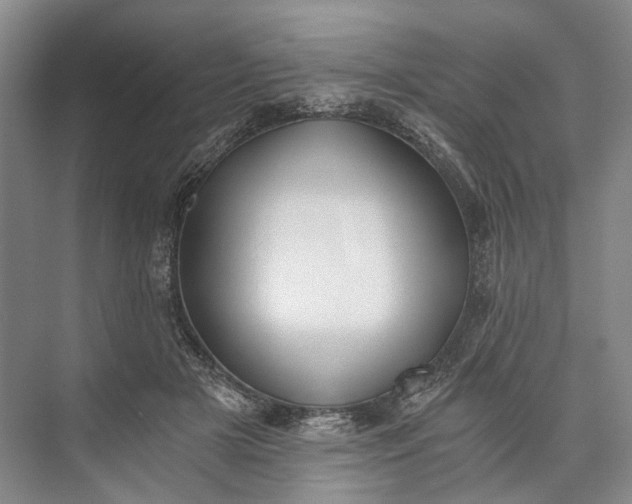 X0000072930505200608041219