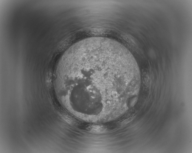 X0000072930507200608041219