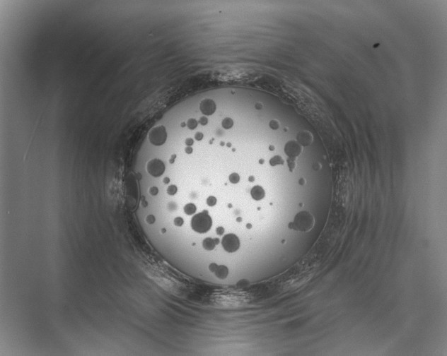 X0000072930510200608041219