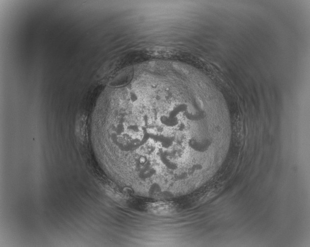 X0000072930511200608041219