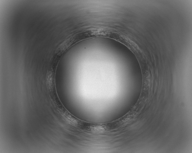 X0000072930513200608041219